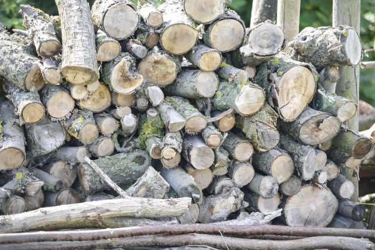 Holzstapel